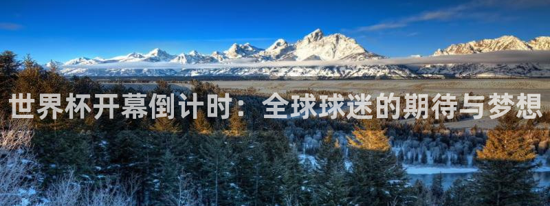 足球比分直播世界杯:世界杯开幕倒计时:全球球迷的期待与梦想