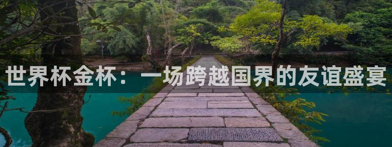 欧洲世界杯预选赛:世界杯金杯:一场跨越国界的友谊盛宴