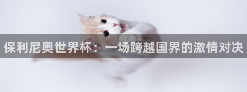 2026世界杯中国队:保利尼奥世界杯:一场跨越国界的激情对决