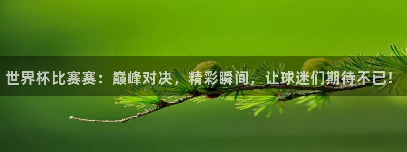 男足世界杯预选赛赛程:世界杯比赛赛:巅峰对决,精彩瞬间,让球迷们期待不已!