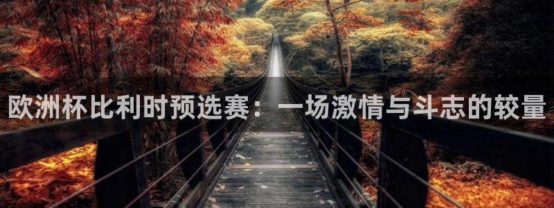 2026世界杯预选赛:欧洲杯比利时预选赛:一场激情与斗志的较量