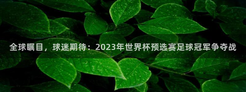 世界杯欧洲区世预赛赛程:全球瞩目,球迷期待:2023年世界杯预选赛足球冠军争夺战