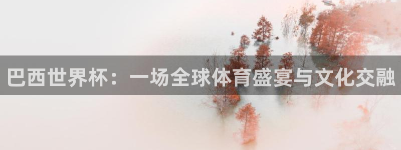 2026世界杯对阵图:巴西世界杯:一场全球体育盛宴与文化交融