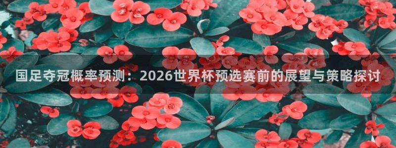 男足世界杯预选赛赛程:国足夺冠概率预测:2026世界杯预选赛前的展望与策略探讨
